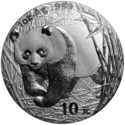 chińska panda - chińska panda
