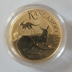KANGUR złoto - KANGUR złoto